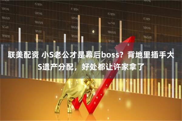 联美配资 小S老公才是幕后boss？背地里插手大S遗产分配，好处都让许家拿了