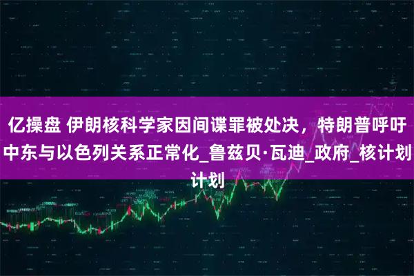 亿操盘 伊朗核科学家因间谍罪被处决,特朗普呼吁中东与以色列关系正常化_鲁兹贝·瓦迪_政府_核计划
