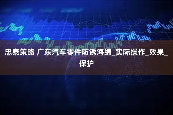 忠泰策略 广东汽车零件防锈海绵_实际操作_效果_保护