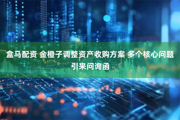 盒马配资 金橙子调整资产收购方案 多个核心问题引来问询函