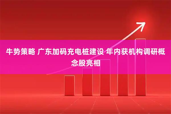 牛势策略 广东加码充电桩建设 年内获机构调研概念股亮相