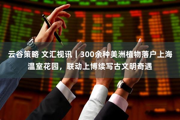云谷策略 文汇视讯｜300余种美洲植物落户上海温室花园，联动上博续写古文明奇遇