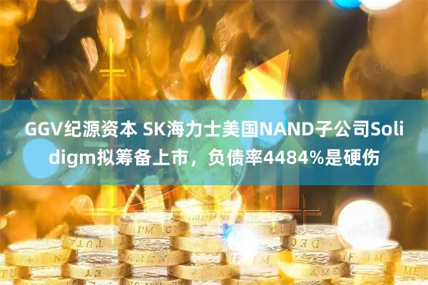 GGV纪源资本 SK海力士美国NAND子公司Solidigm拟筹备上市，负债率4484%是硬伤